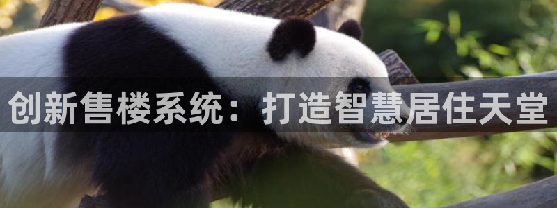 江苏和记伟业官网：创新售楼系统：打造智慧居住天堂