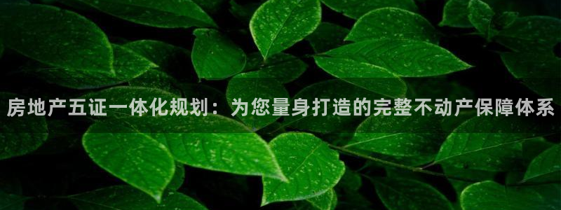 和记官网平台：房地产五证一体化规划：为您量身打造的完整不动产