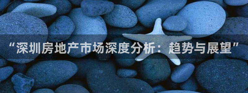 和记怡情官网：“深圳房地产市场深度分析：趋势与展望”