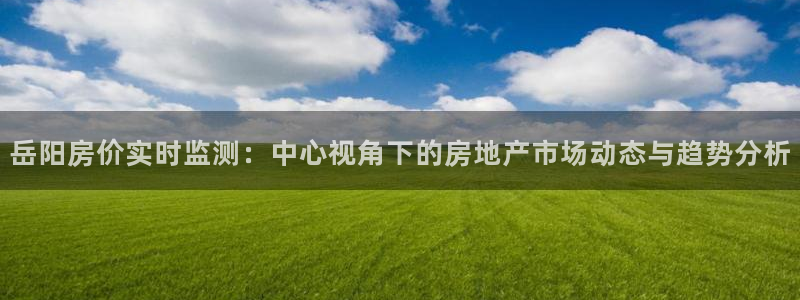 和记门店官网：岳阳房价实时监测：中心视角下的房地产市场动态与