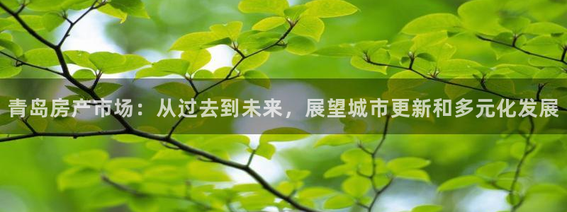 和记国际平台官网：青岛房产市场：从过去到未来，展望城市更新和