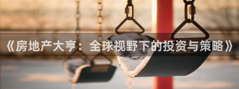长江和记有限公司 官网：《房地产大亨：全球视野下的投资与策略