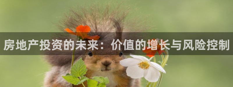 和记国际官网首页：房地产投资的未来：价值的增长与风险控制