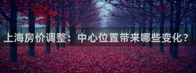 和记唯一官网：上海房价调整：中心位置带来哪些变化？