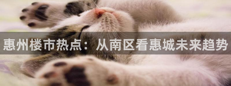 和记官网平台：惠州楼市热点：从南区看惠城未来趋势