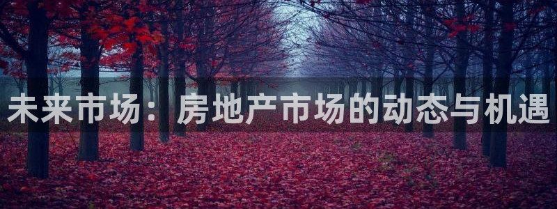 和记电信官网：未来市场：房地产市场的动态与机遇