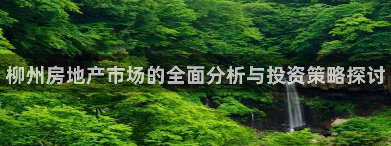 hgc和记官网：柳州房地产市场的全面分析与投资策略探讨