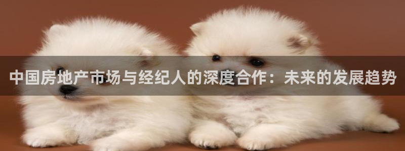 和记黄埔中药公司官网：中国房地产市场与经纪人的深度合作：未来