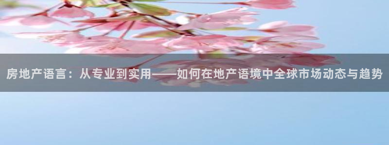 和记娱实惠h88285官网：房地产语言：从专业到实用——如何