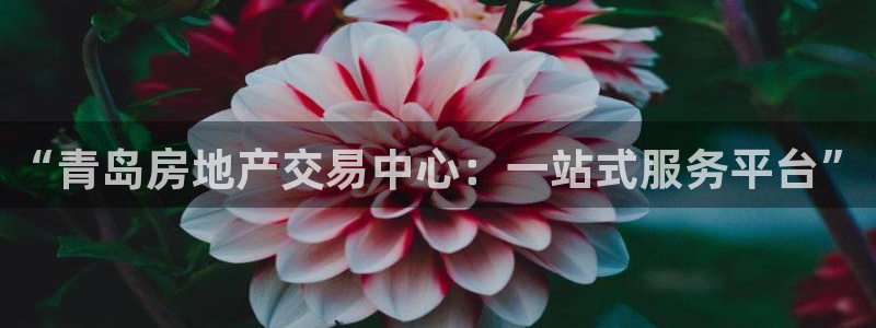h88和记官网：“青岛房地产交易中心：一站式服务平台”