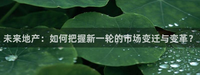 和记官网充值：未来地产：如何把握新一轮的市场变迁与变革？