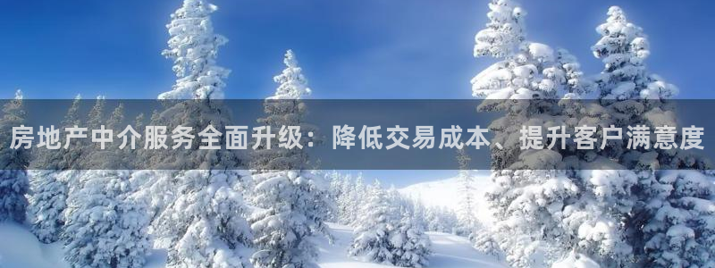 和记体育买球官网：房地产中介服务全面升级：降低交易成本、提升