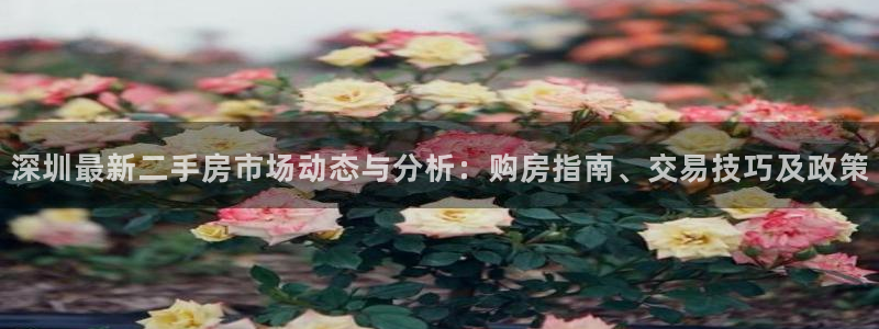 和记app官方官网登录：深圳最新二手房市场动态与分析：购房指