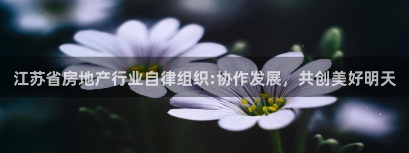 白云 和记黄埔官网电话：江苏省房地产行业自律组织:协作发展，