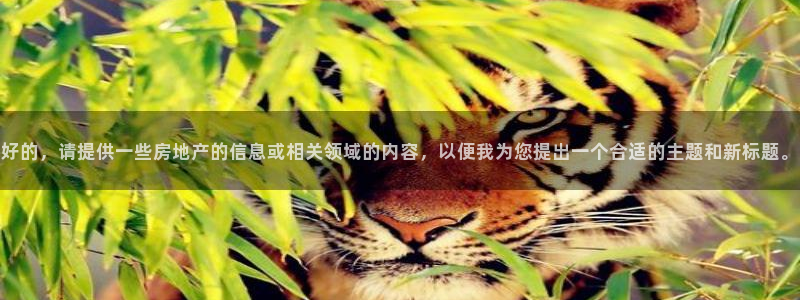 和记平台官网：好的，请提供一些房地产的信息或相关领域的内容，