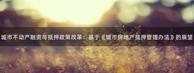 江苏和记伟业官网：城市不动产融资与抵押政策改革：基于《城市房