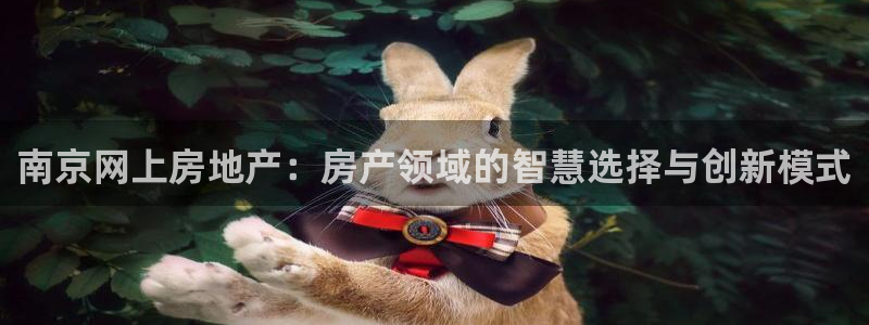 和记万佳官网：南京网上房地产：房产领域的智慧选择与创新模式
