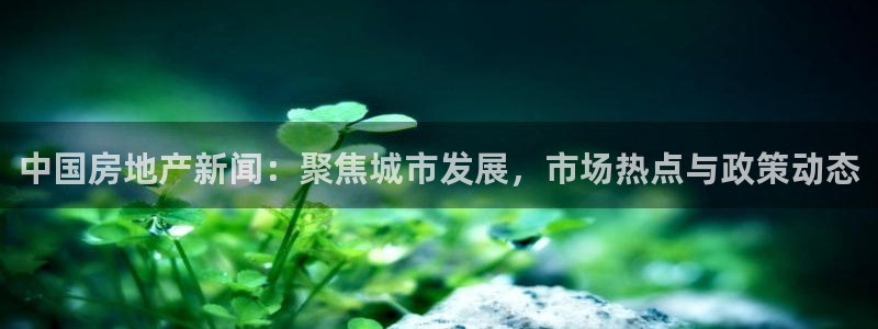 郑州和记酒业官网：中国房地产新闻：聚焦城市发展，市场热点与政