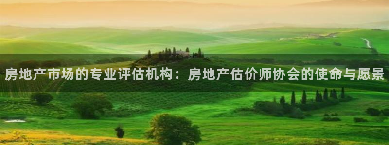 和记手游官网：房地产市场的专业评估机构：房地产估价师协会的使