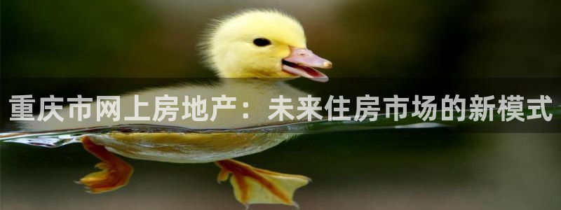和记娱哪个位置h88285官网：重庆市网上房地产：未来住房市