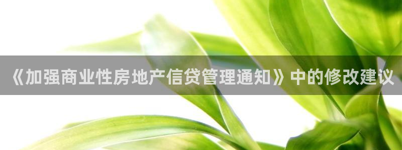 和记黄埔药业官网：《加强商业性房地产信贷管理通知》中的修改建