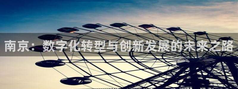 和记电信官网：南京：数字化转型与创新发展的未来之路