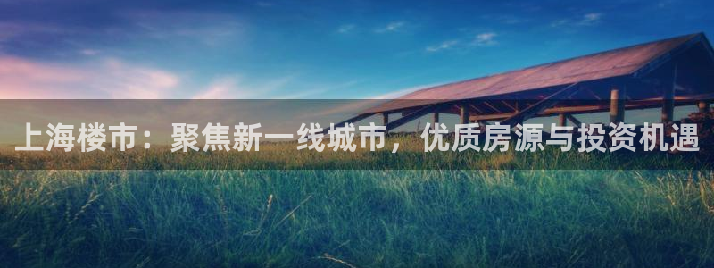 和记h88官网：上海楼市：聚焦新一线城市，优质房源与投资机遇
