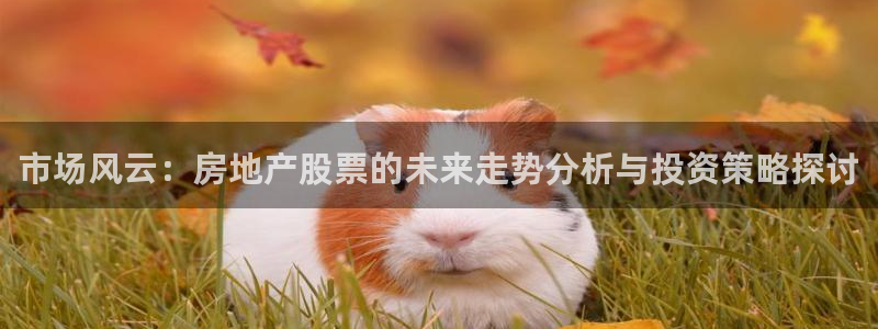 和记网站官网：市场风云：房地产股票的未来走势分析与投资策略探