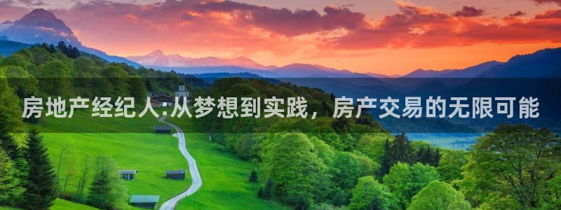 香港长江和记官网：房地产经纪人:从梦想到实践，房产交易的无限