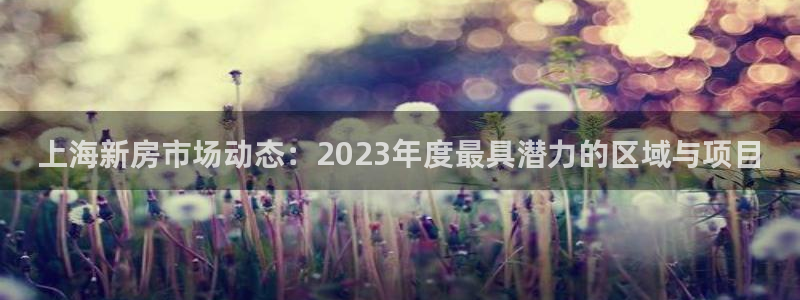 长江和记有限公司官网：上海新房市场动态：2023年度最具潜力