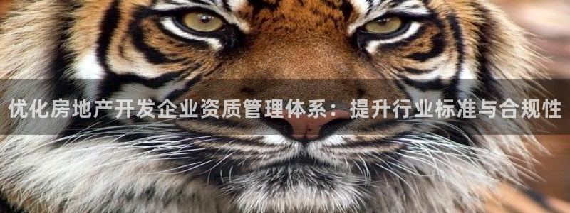 和记官网开户 银博网：优化房地产开发企业资质管理体系：提升行