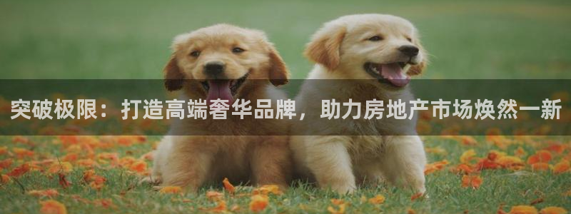 和记电讯澳门官网：突破极限：打造高端奢华品牌，助力房地产市场