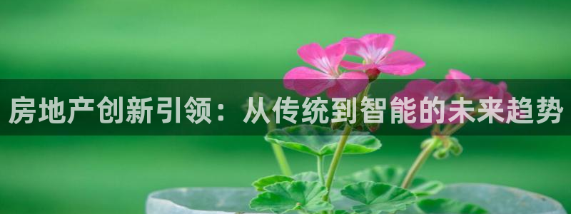 和记3卡官网是哪：房地产创新引领：从传统到智能的未来趋势