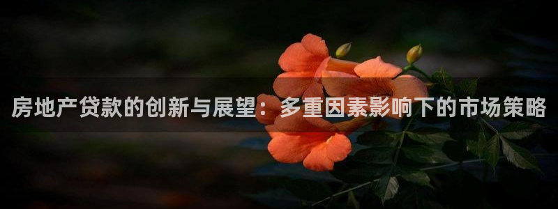 和记电讯three官网：房地产贷款的创新与展望：多重因素影响