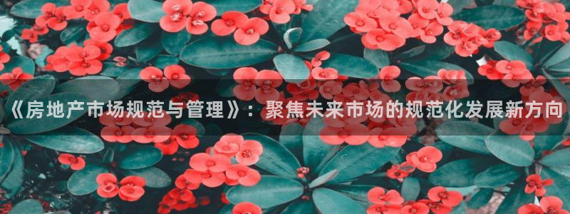 和元李记官网：《房地产市场规范与管理》：聚焦未来市场的规范化