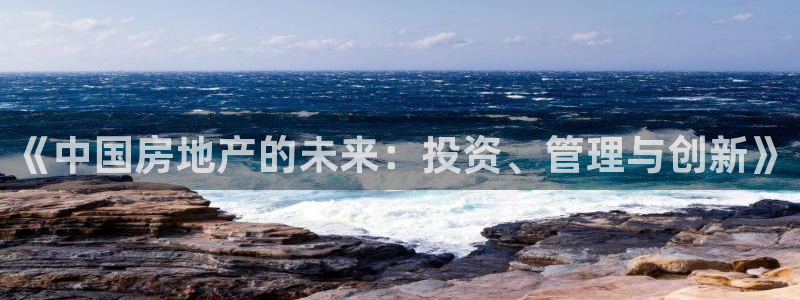 长江和记集团官网：《中国房地产的未来：投资、管理与创新》