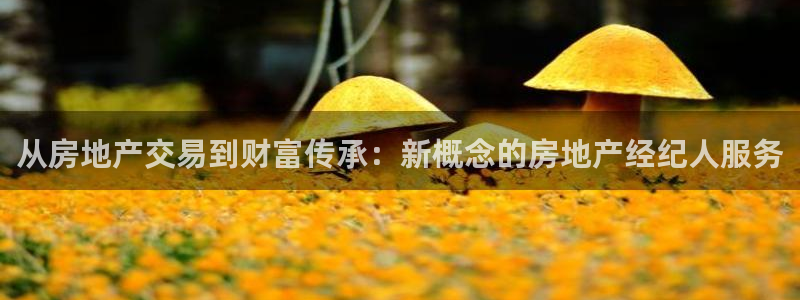 和记娱的确好h88285官网：从房地产交易到财富传承：新概念