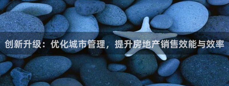 菲律宾和记官网：创新升级：优化城市管理，提升房地产销售效能与
