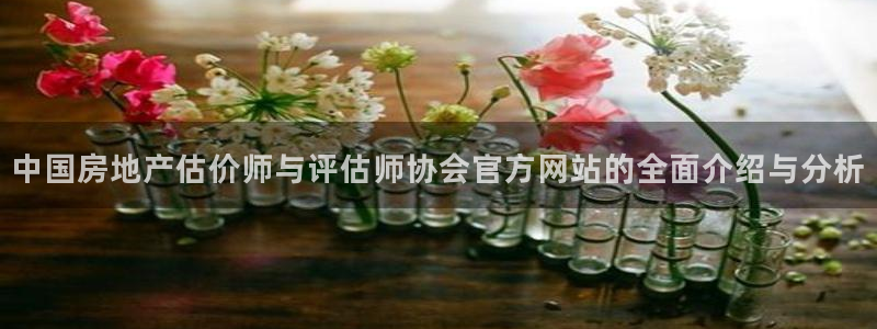 和记电讯app官网：中国房地产估价师与评估师协会官方网站的全