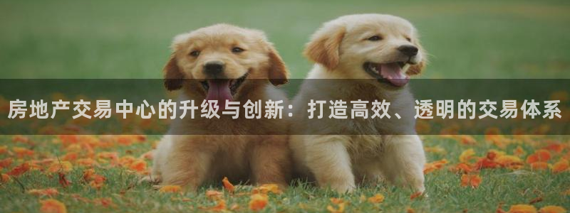 澳门和记电讯官网：房地产交易中心的升级与创新：打造高效、透明