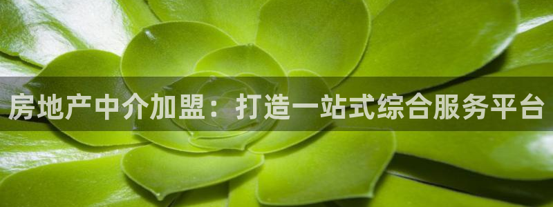 和记h188怡情官网：房地产中介加盟：打造一站式综合服务平台