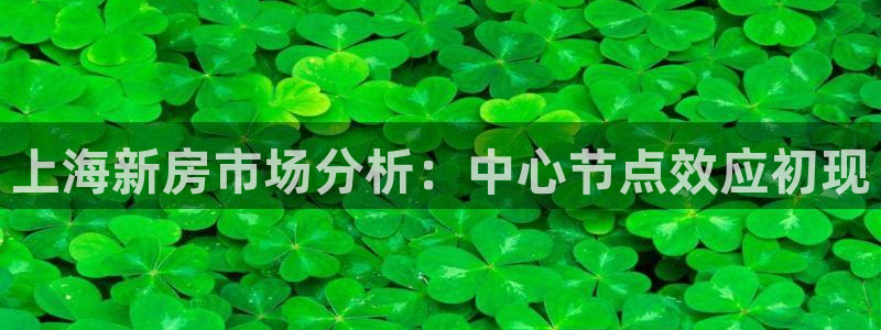 和记娱等级h88285官网：上海新房市场分析：中心节点效应初