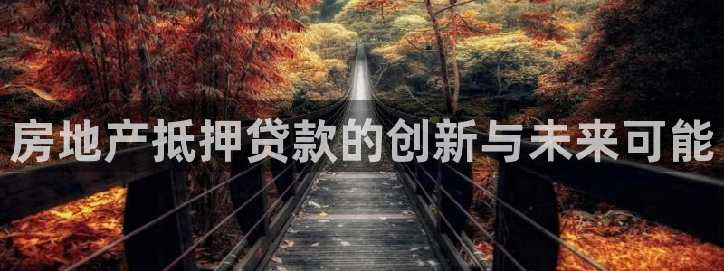 和木记手帕官网：房地产抵押贷款的创新与未来可能