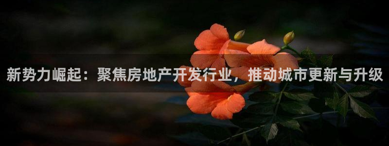 和记娱真心推荐h88285官网