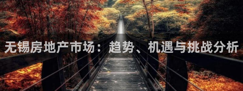 和记手游官网：无锡房地产市场：趋势、机遇与挑战分析