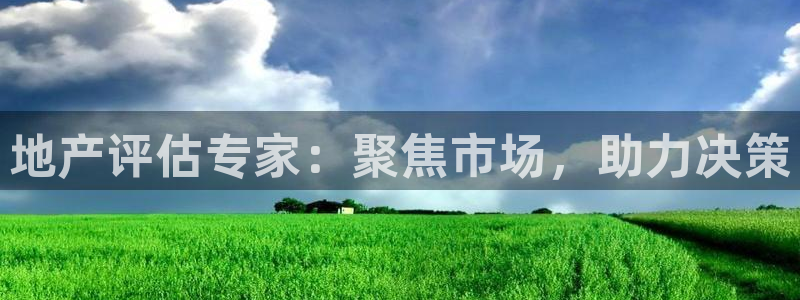 和记娱精湛h88285官网：地产评估专家：聚焦市场，助力决策