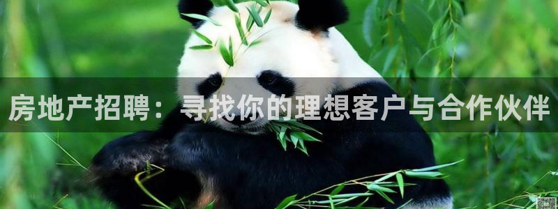 长江和记有限公司官网