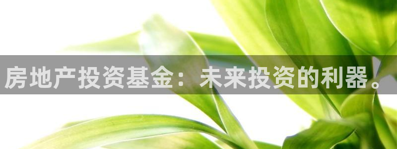 重庆和记黄埔官网：房地产投资基金：未来投资的利器。