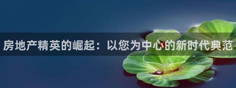 和记电讯three官网：房地产精英的崛起：以您为中心的新时代