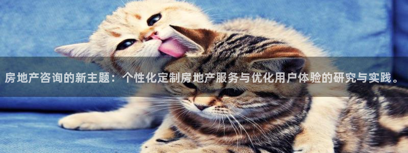 和记娱乐手机官网：房地产咨询的新主题：个性化定制房地产服务与